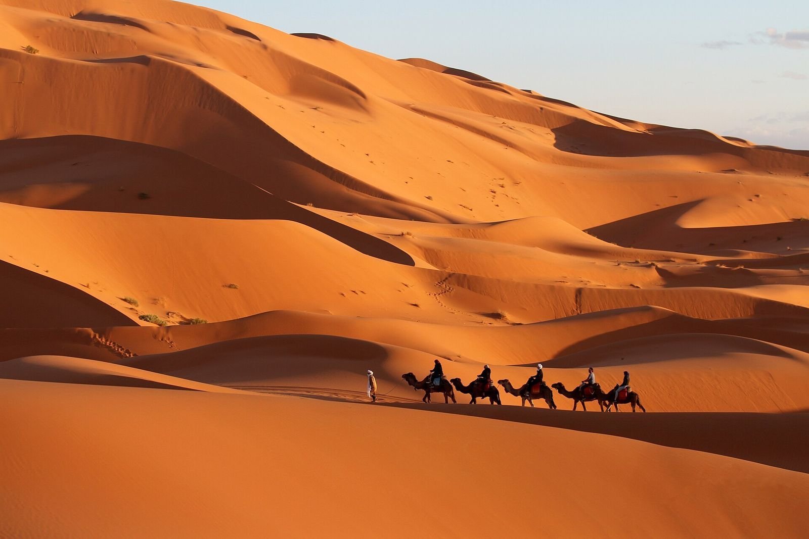 Camel caravan crossing the Erg Chebbi dunes near Merzouga, Morocco, in warm evening light